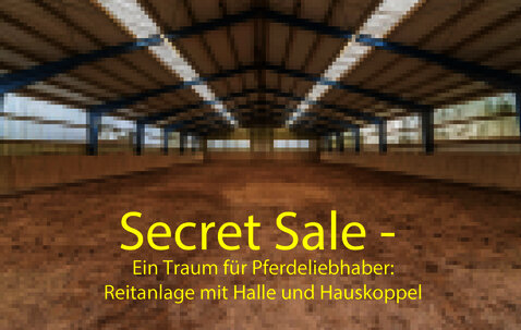 Secret Sale - Ein Traum für Pf...